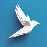 پروکسی تلگرام رایگان | Daily Proxy