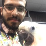 دامپزشك متخصص پرندگان