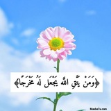 ⤶طاعة الله تجمعنا 💖 🥰 ↻"