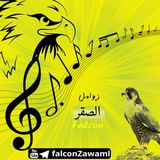 🎵 زوامل صقر نهم 🎵