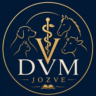 DVM Jozve