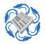 Hydra Ecosystem News