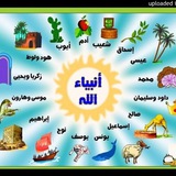 قصص 🌹 الانبياء 🌙
