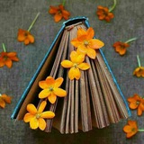 تنها صداست که می ماند