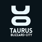 TaurusBlizzardCity