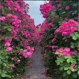 💗كانال متن هاي زيبا 💗
