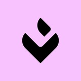 LI.FI Cross-Chain Newsfeed