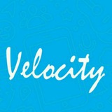 Velocity Jobs