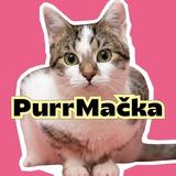 PurrMačka