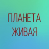 ПЛАНЕТА ЛЮБОВЬ