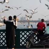 بَغداديات 🌴