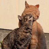 ๐๐ฎ๐ฑ๐ถ โฅ๏ธ .