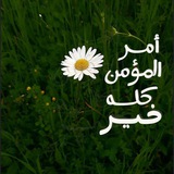 آيَہـ جَـبـر 💚