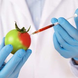 💢 Genfood News - Was essen wir da?