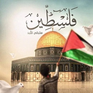 مكتبة كلية الشريعة و القانون 📝⚖