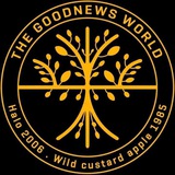 GoodNewsWorld Updates