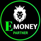 E MONEY PARTNER OFFiCIAl