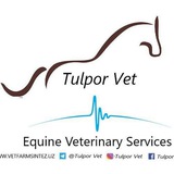 Tulpor Vet