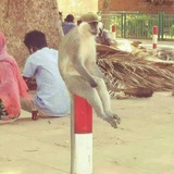 قالبين هوووبة🤸♂🤸♀😂