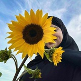 المُحللة 🩺 .