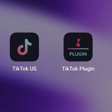 TikTok GIP Sharing