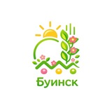 Совет Буинского муниципального района