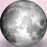 Lunalogia 🌙