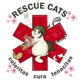 RESCUE CATS