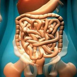ibs سندروم روده تحریک پذیر ibs گوارش کولیت