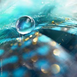 Drop څاڅکۍ