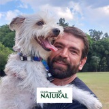 Curso Gratuito de Adestramento Dogs Demais