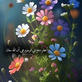🌩 همسات لطیفه ❤️