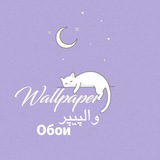 بک گراند Wallpaper والپیپر Обои