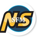 AFM / SFM by CA Nagendra Sah