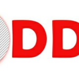 Odds4life International
