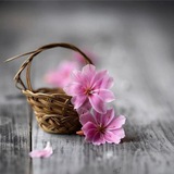 🌱 جَمِيل الأَثَر