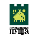 БЕЛОВЕЖСКАЯ ПУЩА