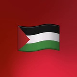طوفان الأقصى غزه اخبار غزة كتائب القسام سرايا القدس رفح لبنان