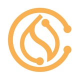 Sui Media Official