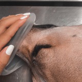 Libros de veterinaria