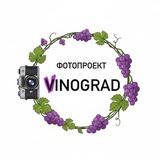 ФОТОПРОЕКТЫ ВИНОГРАД СПБ|ПИТЕР