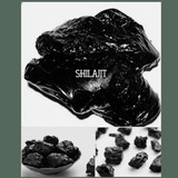 MEESTER SHILAJIT ๐ฑ