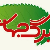 🍁کانون برگجهان🍀