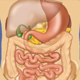 GASTROENTEROLOGY & HEPATOLOGY LITERATURE UPDATED