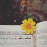 يَكادُ يُضِيء ||°