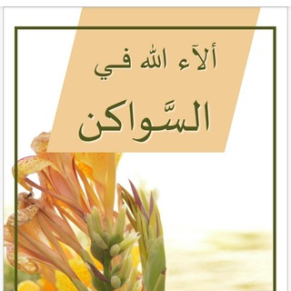 السواكن في القرآن الكريم
