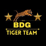 𝗕𝗗𝗚 𝗧𝗜𝗚𝗘𝗥 𝗧𝗘𝗔𝗠 🥇