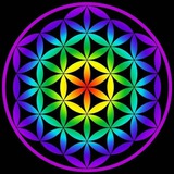 هیپنوتیزم ، ریکی | بابک خسرونژاد