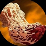 الأستاذ يونس محمدي 3AS