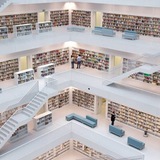 📚 Medicalism Library